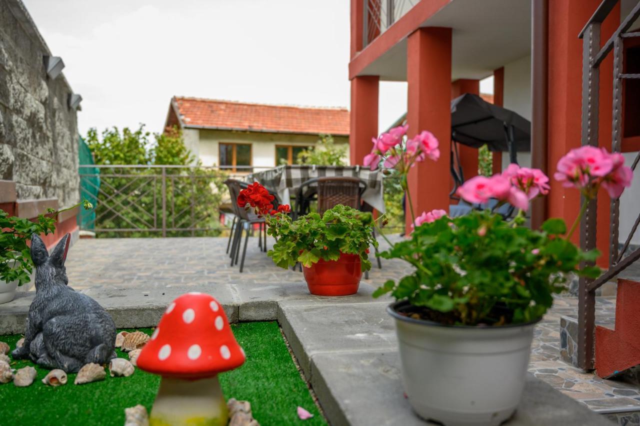 Къща За Гости „Жоро И Дани “ Villa Sapareva Banya Exterior foto